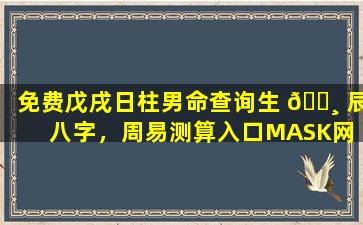 免费戊戌日柱男命查询生 🌸 辰八字，周易测算入口MASK网 🐼 站靠谱吗